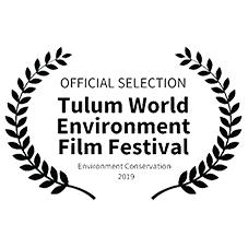 Tulum Festival Laurel